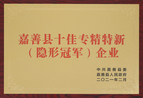 Top ten specialized and special new enterprises in Jiashan County
