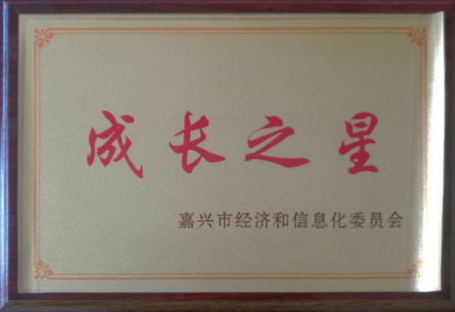 Growth star of Small and Medium-sized enterprises in Jiaxing City